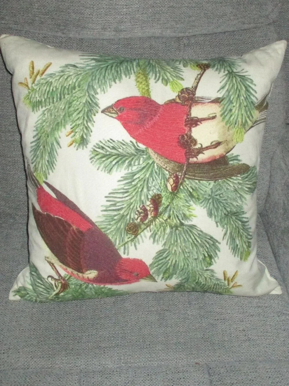 Pottery Barn Audubon Bird Large 20x20 Indoor Pillow with pine branches